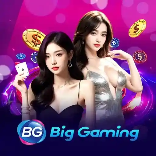 Live Casino Big Gaming